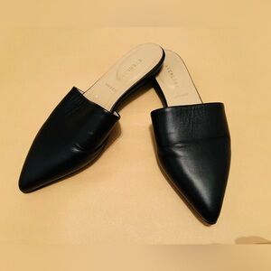 Everlane Leather Mules